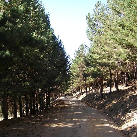 Hostal Rural Poqueira Capileira Zewnętrze zdjęcie