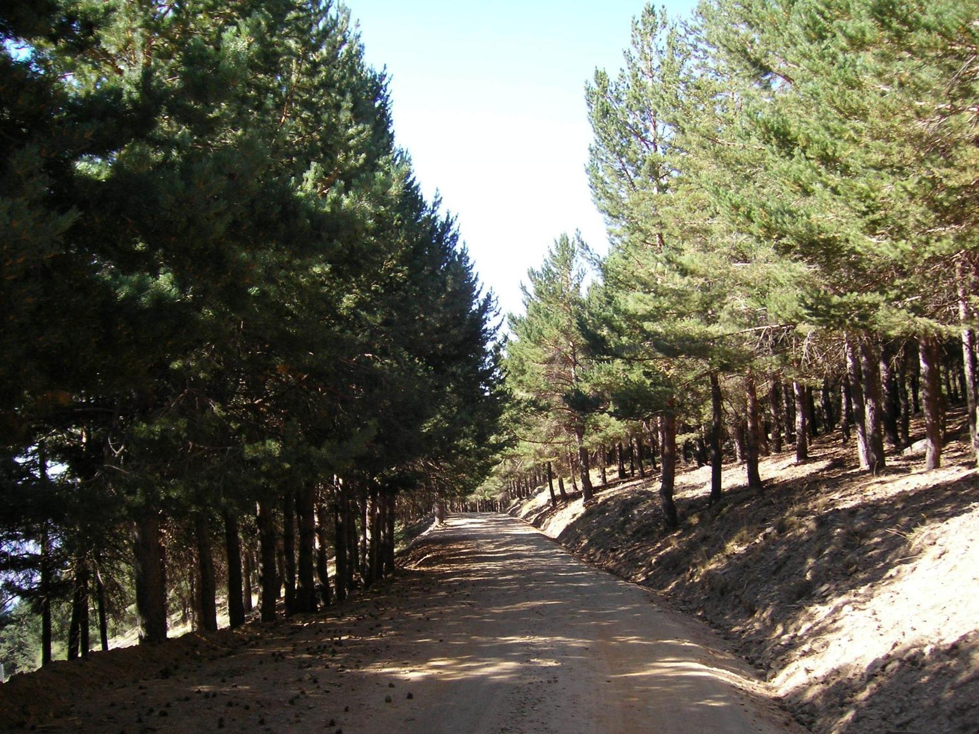 Hostal Rural Poqueira Capileira Zewnętrze zdjęcie